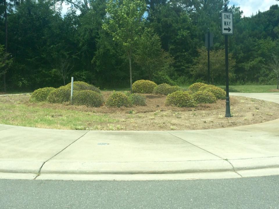 landscaping-roundabout